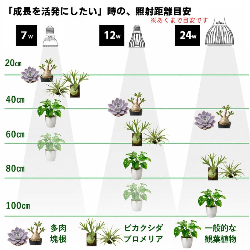 植物ライトとの照射距離表
