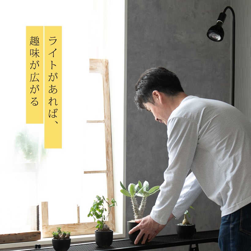 塊根植物を手に取って楽しむ