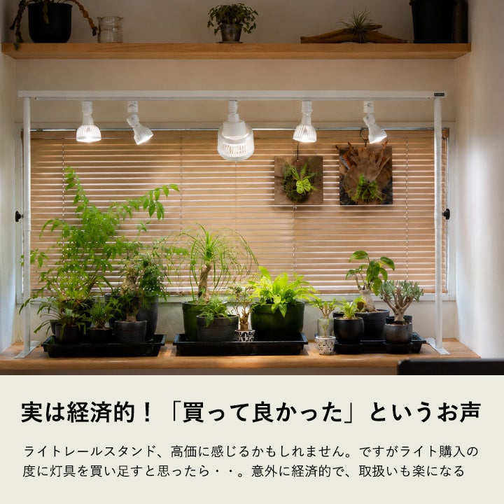 ライトレールスタンドの使用写真
