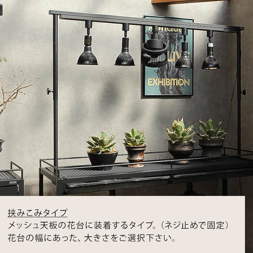 植物育成ライトレールスタンド｜アガベ・塊根物・ビカクシダ栽培に