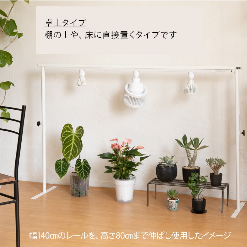 植物育成ライトレールスタンド｜アガベ・塊根物・ビカクシダ栽培に