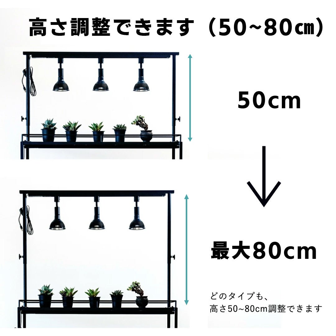 植物育成ライトレールスタンド｜アガベ・塊根物・ビカクシダ栽培に