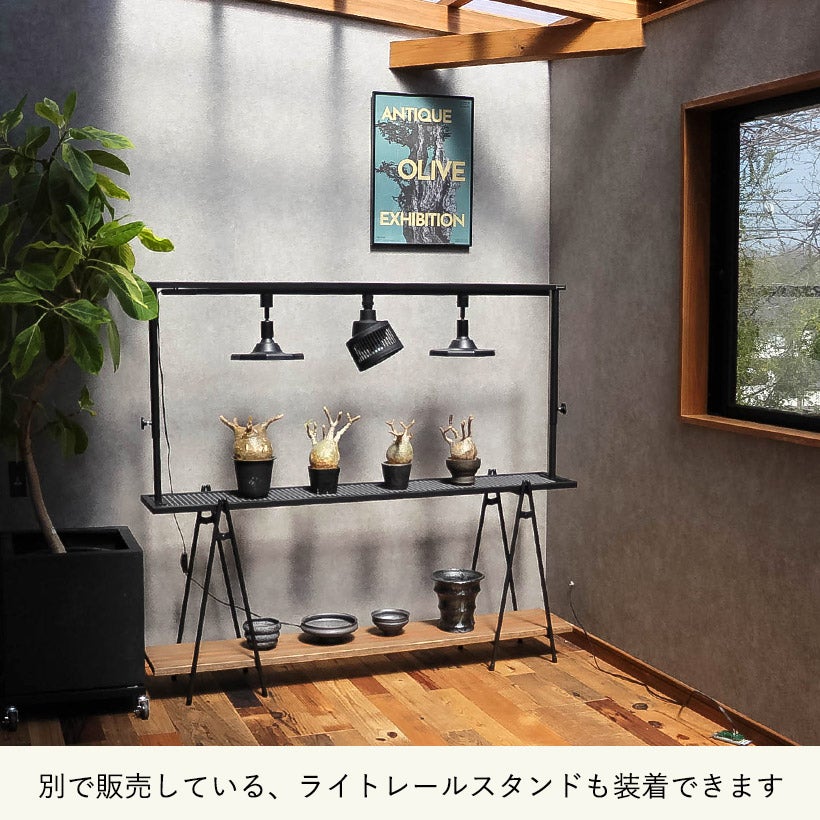 観葉植物の置き台（アイアンメッシュ天板）横に長く飾りやすい！