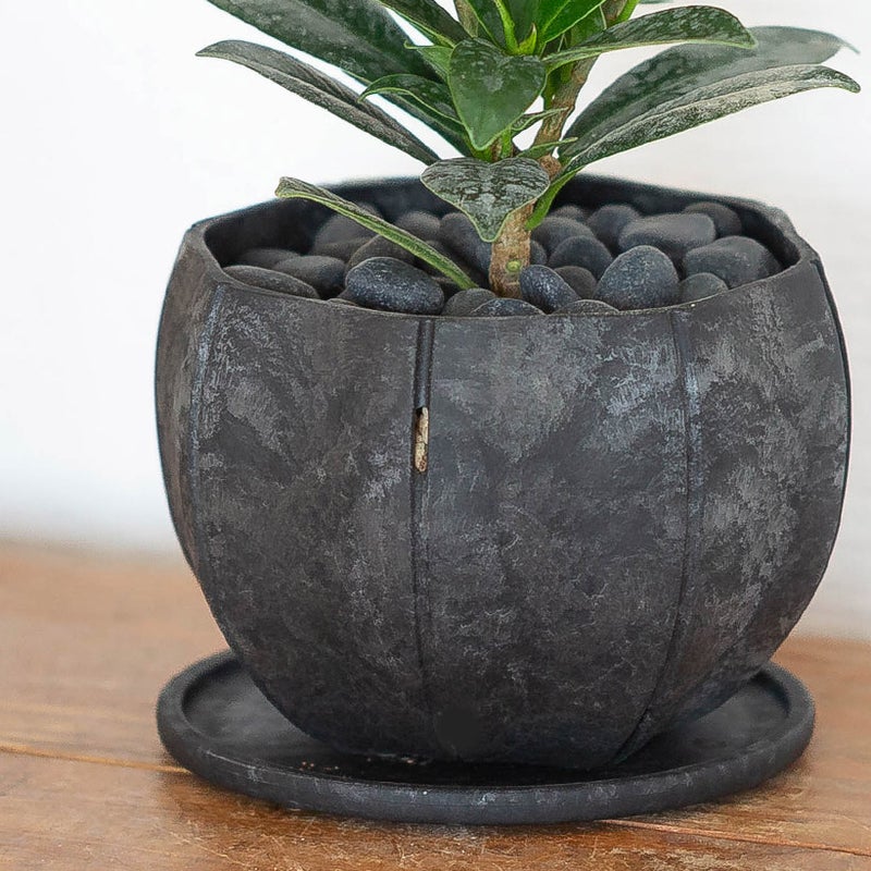 植木鉢SENの詳細>