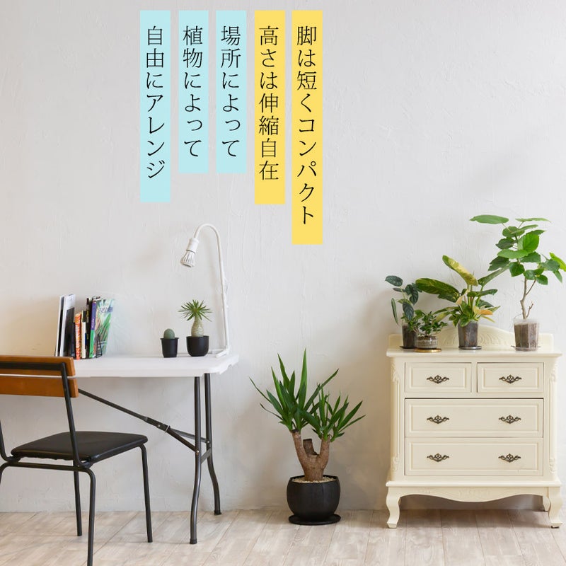 部屋に植物とライトを飾った写真