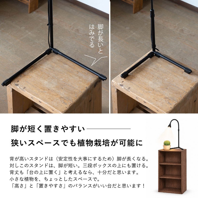 三段ボックスにライトスタンド