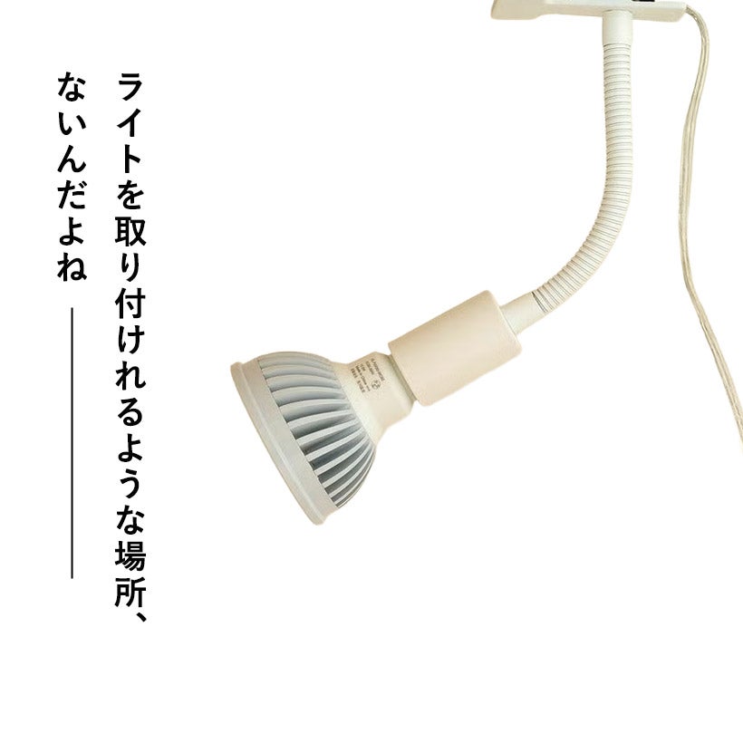 植物ライトをスタンドに取付け、台の上で照射