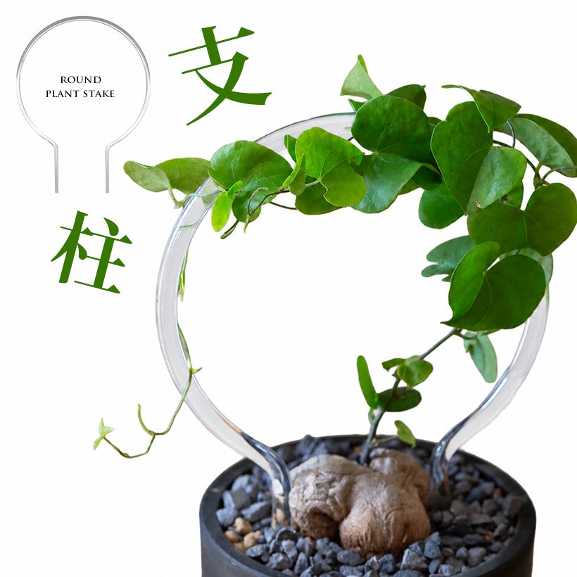 ゆうな専用植物 丸型クリア支柱|透明で植物を邪魔しない！つる性植物に（ina工藝）